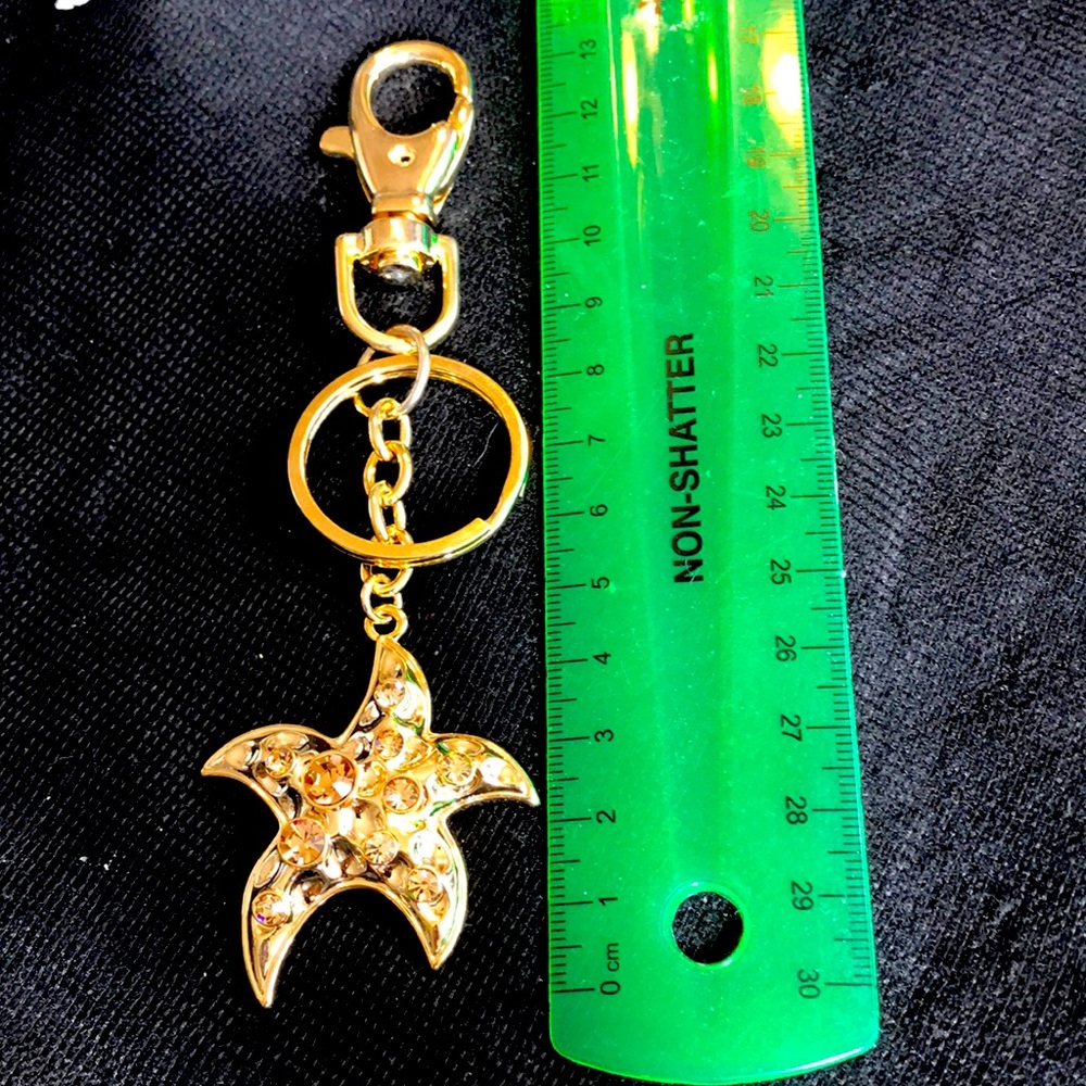 💥2/30💥 starfish keychain